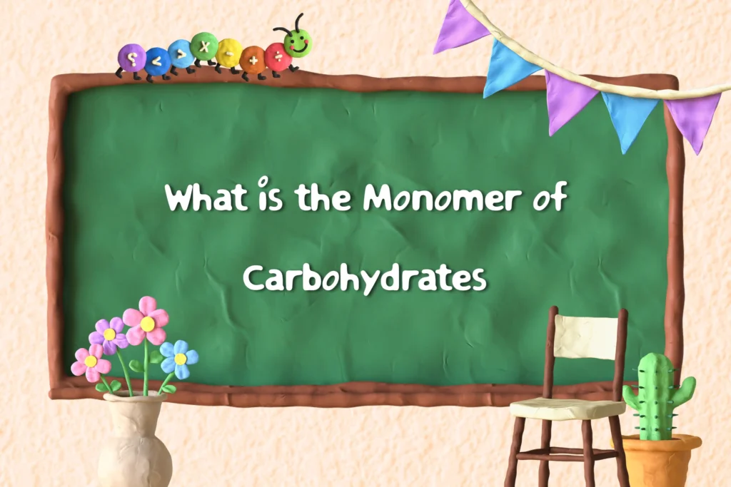 What is the Monomer of Carbohydrates