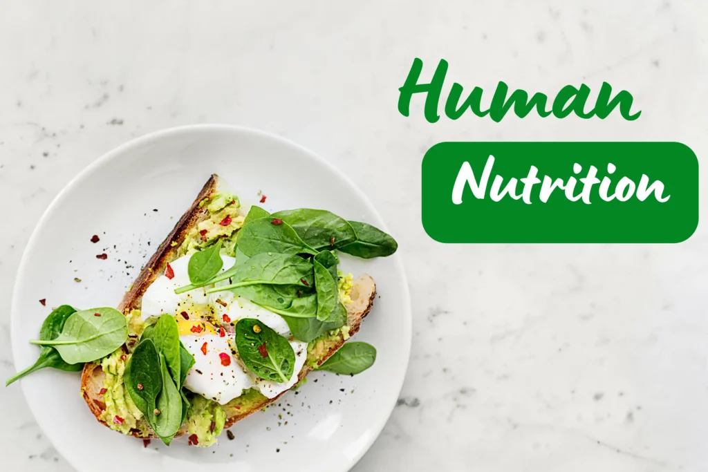 expert-insights-on-human-nutrition-pronutrifacts