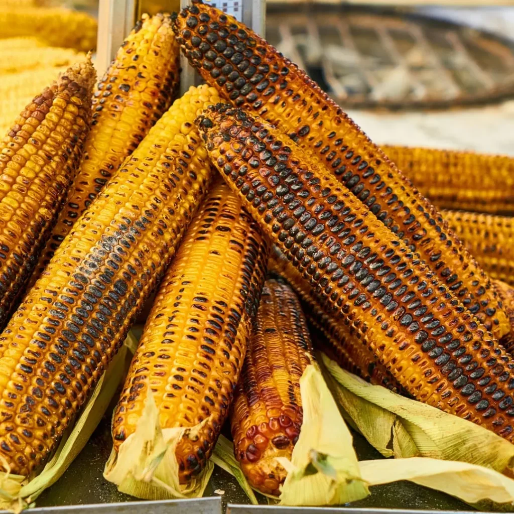 Grilled corn on the cob with charred marks, showcasing a flavorful and healthy snack option.