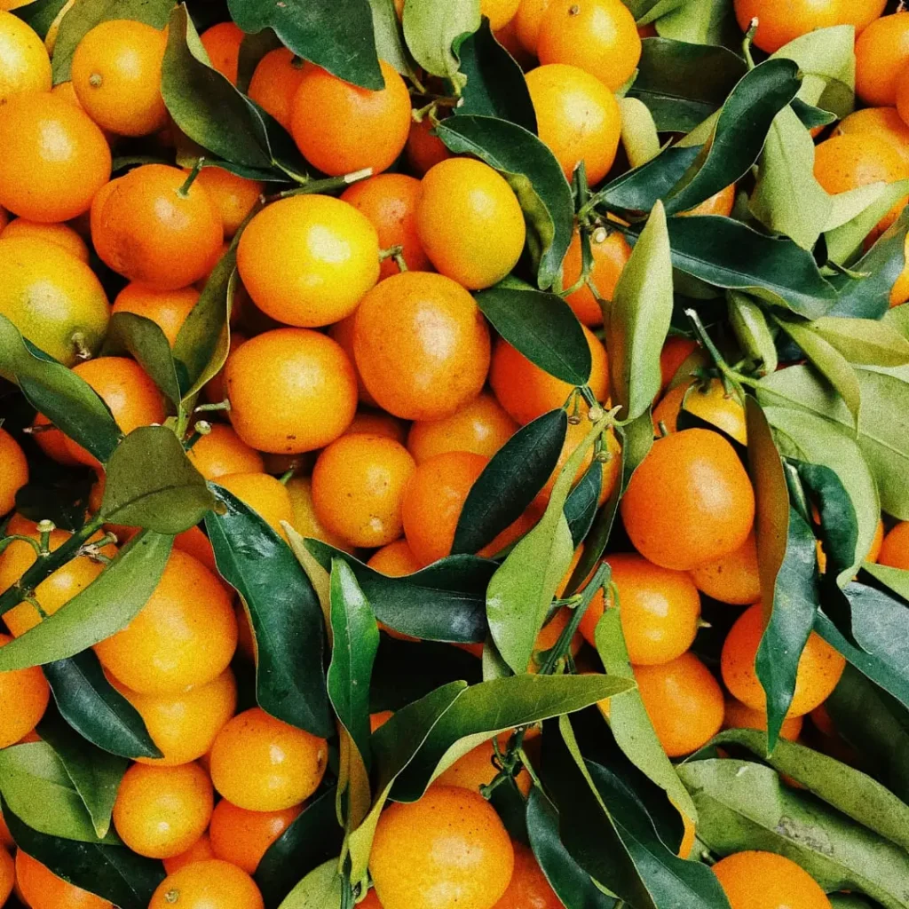 A pile of fresh oranges with green leaves attached, highlighting their natural, organic appearance.