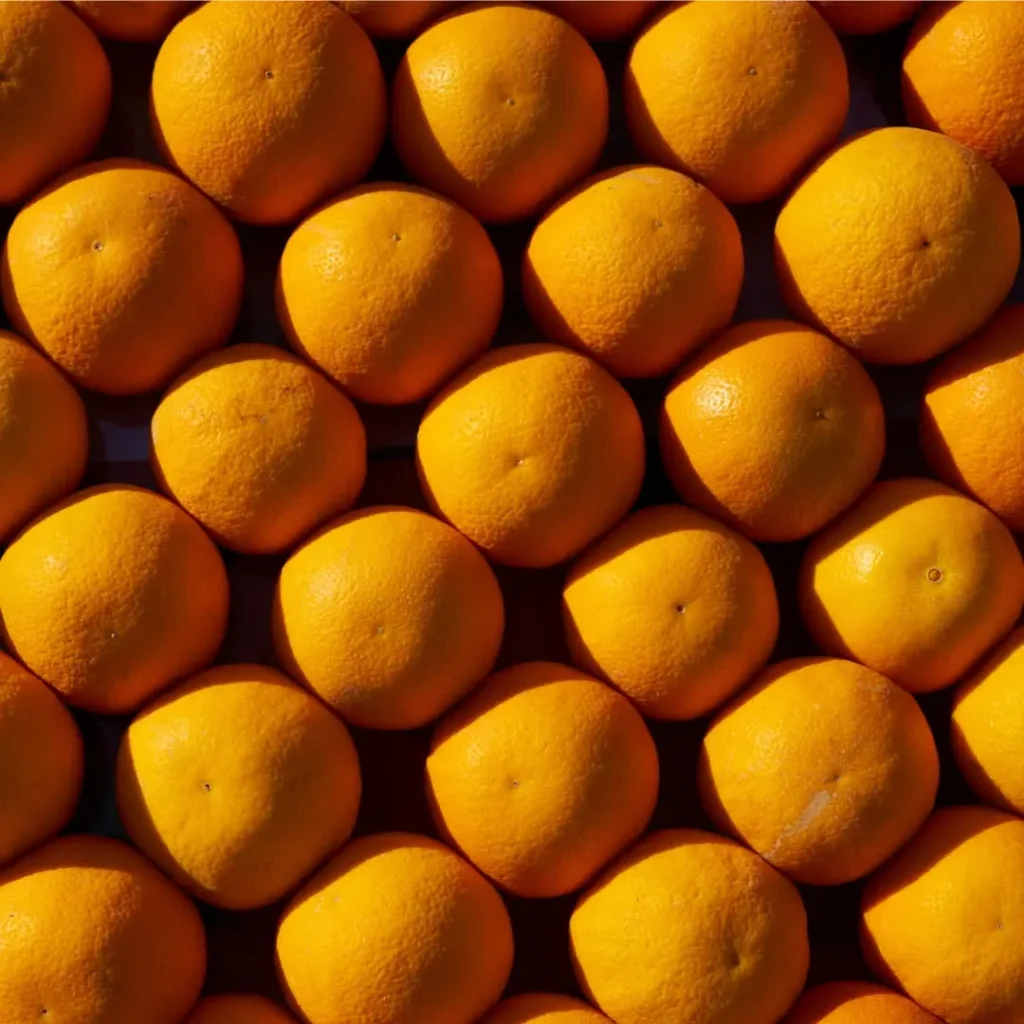 A close-up of fresh, whole oranges arranged in neat rows, showcasing their bright orange color and smooth texture.