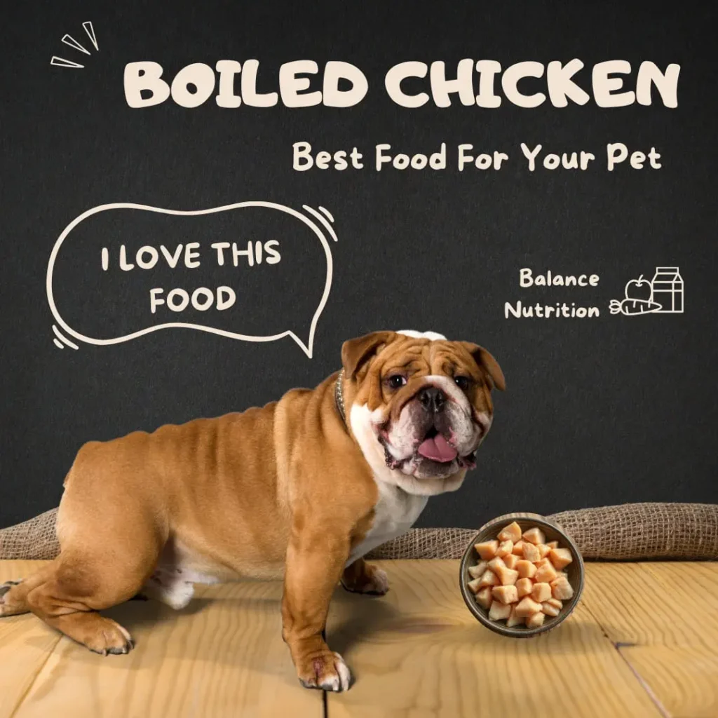 How to Boil Chicken for Dogs: 6 Safe Additions to Boost Nutrition. A happy bulldog sitting beside a bowl of boiled chicken cubes, with a chalkboard-style background displaying pet nutrition benefits.